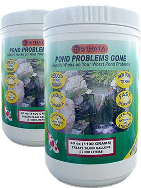 Strata pond problem gone, beneficial bacteria, pond care