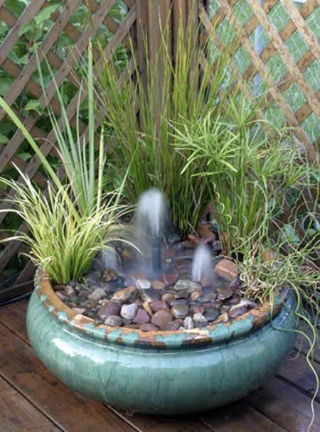 Big ideas in little spaces: Water gardening in a small area