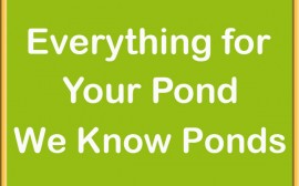 Everything For Your Pond