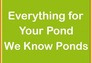 Got Qustions - We Know Ponds - Sunland Water Gardens - Everything for your pond