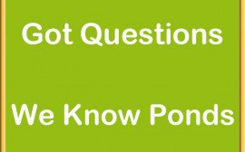 Pond Questions? We can help!