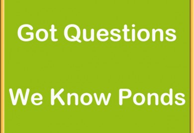 Got Qustions - We Know Ponds - Sunland Water Gardens - Pond Supply
