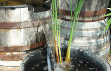 Small Ponds and fountains: Barrel fountain