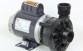 Pond supply: pond pump: Waterway Iron Might inline Pump