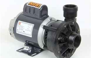 Pond supply: pond pump: Waterway Iron Might inline Pump