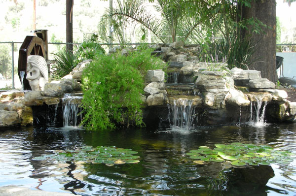 pond filter with waterfall