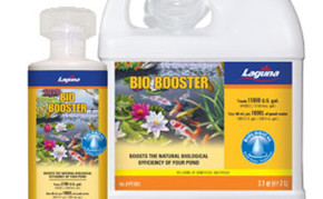 Pond Care: Beneficial Bacteria: Laguna Bio Booster