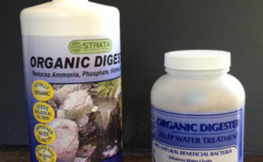 Pond Care: Beneficial Bacteria: Strata Organic Digester