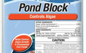 Pond Supplies: Pond Algae control: Tetra Pond Blocks