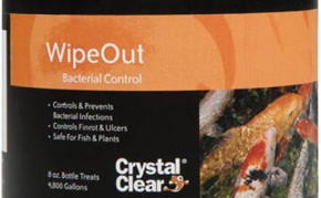 Pond Supplies: Fish medication: Crystal clear Wipeout