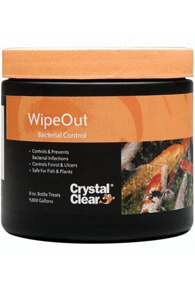 Wipeout, crystal clear wipeout, fish medication, bacterial contr