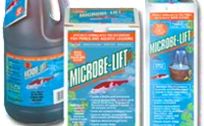 Pond Care: Beneficial bacteria: Microbe-lift PL