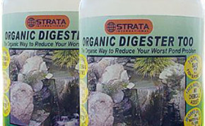 Pond Care: Beneficial bacteria: Organic Digester too 