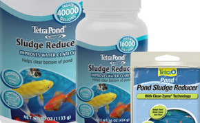 Pond Care: Beneficial bacteria: Tetra Sludge reducer