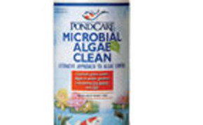 Pond Care: Beneficial bacteria: PondCare Microbial Algae Clean