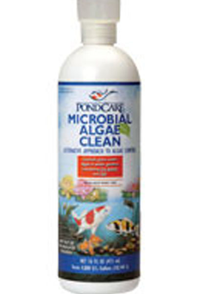 pond care microbial algae clean, beneficial bacteria