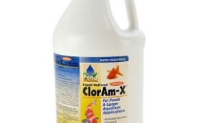 Pond Fish Supplies: ClorAm-X Liquid | Pond Fish
