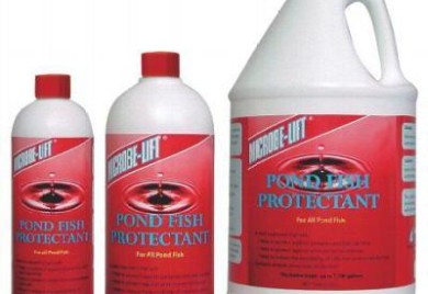 Pond Fish Supplies: Pond Fish Protectant - Pond Fish Health Care - Pond Fish Supplies