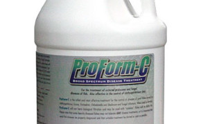 Pond Fish Supplies: ProForm C | Pond Fish