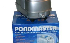 Pumps & Filters: Pondmaster Deep Water Air Pump | Pond Maintenance