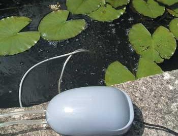 Pond Supplies: Solar Pond Oxygenator (Day Operation Only) - Aeration - Pond Supplies