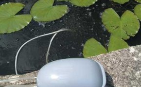 Pond Pumps & Pond Filters: Solar Pond Oxygenator (Day Operation Only) | Pond Maintenance