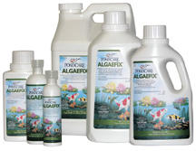 Pond Water Care: Algae Fix - Pond Maintenance