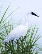 Pond & Garden Protection: Egret - Pond Maintenance