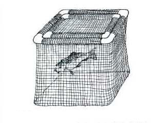 Pond & Garden Protection: Fish Cages - Pond Maintenance