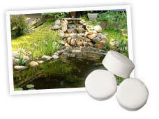 Pond Maintenance: GreenClean Tablets | Pond Water Care