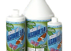 Pond Maintenance: Microbelift Algaway 5.4 | Pond Water Care