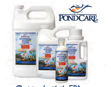 Pond Maintenance: Microbial Algae Clean | Pond Water Care