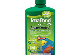 Pond Maintenance: Tetra Algae Control | Pond Water Care