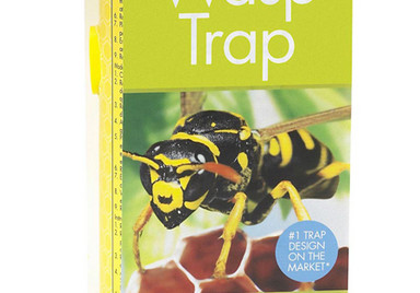 Pond & Garden Protection: Wasp Trap - Pond Maintenance