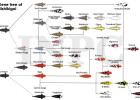 Koi Classifications, colors and terms