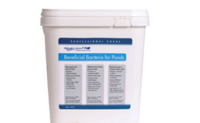 Aquascape AquascapePRO® Beneficial Bacteria/Dry - 9 lb - Water Treatments - Part Number: 30407 - Pond Supplies