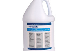 Aquascape AquascapePRO® Beneficial Bacteria/Liquid - 1 gal - Water Treatments - Part Number: 30406 - Pond Supplies