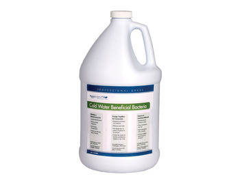 Aquascape Cold Water Beneficial Bacteria/Liquid - 4 Ltr/1.1 gal - Beneficial Bacteria - Water Treatments - Part Number: 98895 - Aquascape Pond Supplies