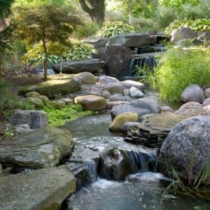 What to do to get your pond ready for spring