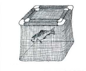 Pond & Garden Protection: Fish Cages | Fish Net Products Learn more about Pond Supplies, Pond Care & Maintenance, Pond & Garden Protection, Fish Net Products and Pond Maintenance at SunlandWaterGardens.com