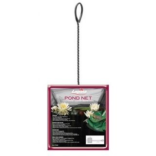 Pond & Garden Protection: Laguna 6" x 8" mini pond net | Fish Net Products Learn more about Pond Supplies, Pond Care & Maintenance, Pond & Garden Protection, Fish Net Products and Pond Maintenance at SunlandWaterGardens.com