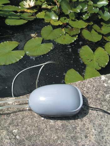 Learn more about the Solar Pond Oxygenator (Day Operation Only) and other pond supplies like   - Pond Aeration, Pond Pumps & Pond Filters, Pond Air Pumps, Pond Pumps & Pond Filters and Pond Maintenance at SunlandWaterGardens.com