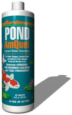 Pond Water Care: Kordon Amquel | Chlorine/Ammonia Control Learn more about Pond Supplies, Pond Care & Maintenance, Water Care, Chlorine/Ammonia Control and Pond Maintenance at SunlandWaterGardens.com