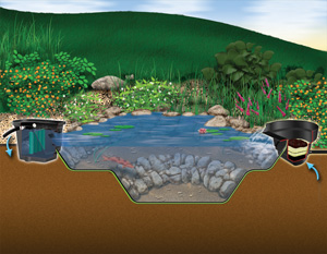 Aquascape Pond Supplies: MicroPond® Kit 6'x8' (500 Gallons) | Part Number 99764 Learn more about Aquascape Pond Supplies at SunlandWaterGardens.com