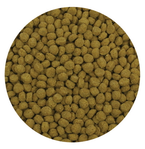Aquascape Pond Supplies: Cold Water Fish Food Pellets 1kg | Part Number 98871 Learn more about Aquascape Pond Supplies at SunlandWaterGardens.com